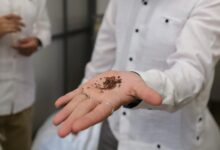 En la planta IEM en el PCTY, donde se procesa sargazo para convertirlo en biofertilizantes. #InnovaciónVerde #EconomíaCircular