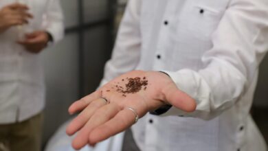 En la planta IEM en el PCTY, donde se procesa sargazo para convertirlo en biofertilizantes. #InnovaciónVerde #EconomíaCircular