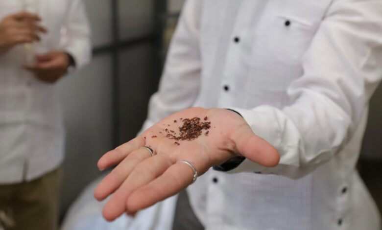 En la planta IEM en el PCTY, donde se procesa sargazo para convertirlo en biofertilizantes. #InnovaciónVerde #EconomíaCircular